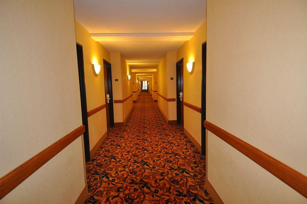 Comfort & New Orleans Airport North Hotel